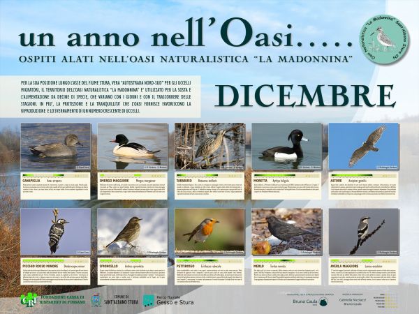 Dicembre